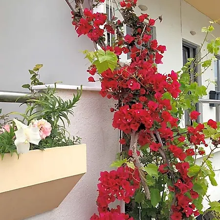 Hotel Zefyros Rhodes City